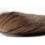 Chevreuil sur peau (poils d'hiver)