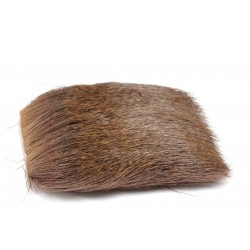 Chevreuil sur peau (poils d'hiver)