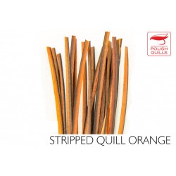 Quill de paon ébarbé