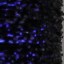 Body fly UV